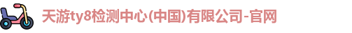 天游ty8检测中心